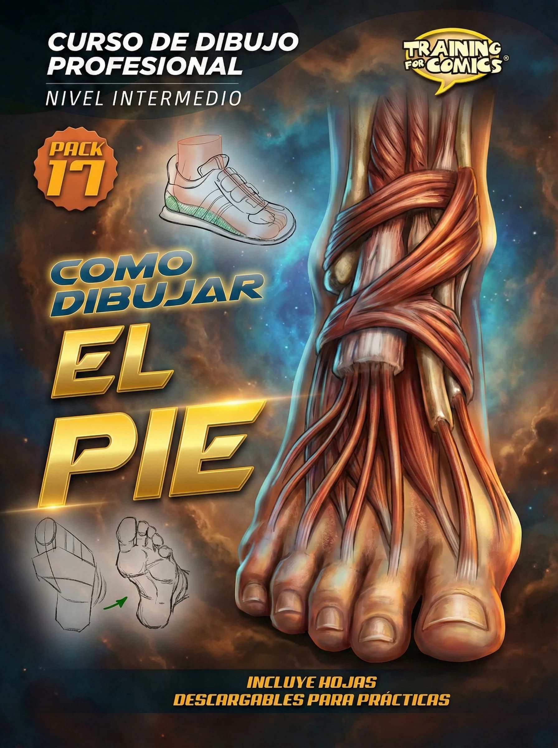 Cómo Dibujar el Pie: Domina la Base de tus Personajes