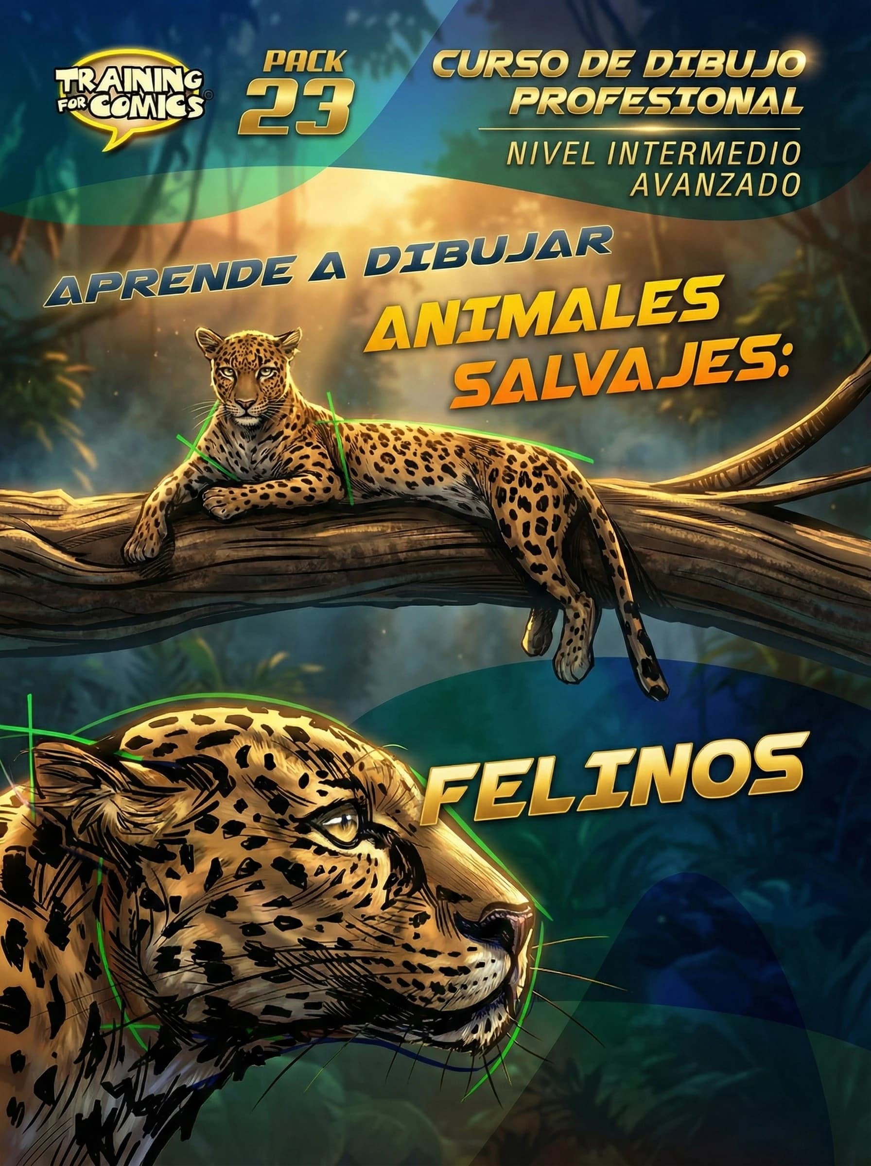 Animales Salvajes: Felinos